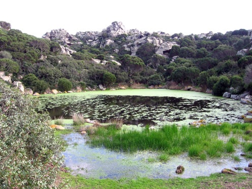 Antica Sant'Antioco